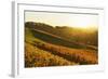 Vineyard Landscape, Ortenau, Baden Wine Route, Baden-Wurttemberg, Germany, Europe-Jochen Schlenker-Framed Photographic Print