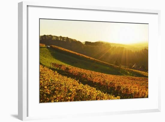 Vineyard Landscape, Ortenau, Baden Wine Route, Baden-Wurttemberg, Germany, Europe-Jochen Schlenker-Framed Photographic Print