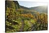 Vineyard Landscape, Ortenau, Baden Wine Route, Baden-Wurttemberg, Germany, Europe-Jochen Schlenker-Stretched Canvas