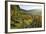 Vineyard Landscape, Ortenau, Baden Wine Route, Baden-Wurttemberg, Germany, Europe-Jochen Schlenker-Framed Photographic Print