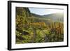 Vineyard Landscape, Ortenau, Baden Wine Route, Baden-Wurttemberg, Germany, Europe-Jochen Schlenker-Framed Photographic Print