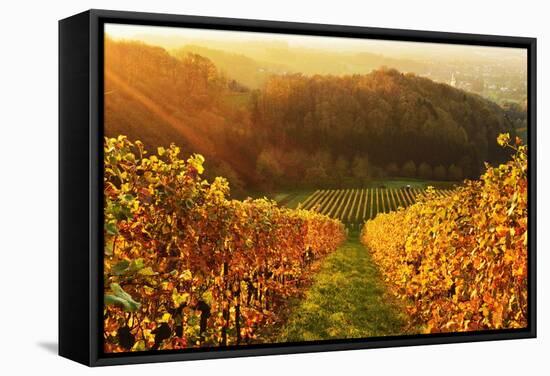 Vineyard Landscape, Ortenau, Baden Wine Route, Baden-Wurttemberg, Germany, Europe-Jochen Schlenker-Framed Stretched Canvas