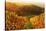 Vineyard Landscape, Ortenau, Baden Wine Route, Baden-Wurttemberg, Germany, Europe-Jochen Schlenker-Stretched Canvas