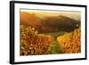 Vineyard Landscape, Ortenau, Baden Wine Route, Baden-Wurttemberg, Germany, Europe-Jochen Schlenker-Framed Photographic Print