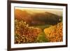 Vineyard Landscape, Ortenau, Baden Wine Route, Baden-Wurttemberg, Germany, Europe-Jochen Schlenker-Framed Photographic Print