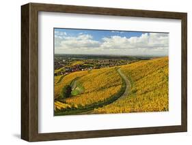 Vineyard Landscape, Ortenau, Baden Wine Route, Baden-Wurttemberg, Germany, Europe-Jochen Schlenker-Framed Photographic Print