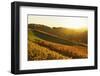 Vineyard Landscape, Ortenau, Baden Wine Route, Baden-Wurttemberg, Germany, Europe-Jochen Schlenker-Framed Photographic Print