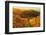 Vineyard Landscape, Ortenau, Baden Wine Route, Baden-Wurttemberg, Germany, Europe-Jochen Schlenker-Framed Photographic Print