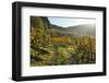 Vineyard Landscape, Ortenau, Baden Wine Route, Baden-Wurttemberg, Germany, Europe-Jochen Schlenker-Framed Photographic Print