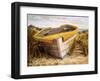 Vineyard Launch-Karl Soderlund-Framed Art Print