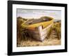 Vineyard Launch-Karl Soderlund-Framed Art Print