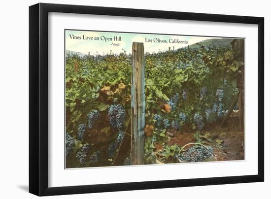 Vineyard, Los Olivos-null-Framed Art Print