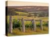 Vineyard, Margaret River, Western Australia, Australia-Doug Pearson-Stretched Canvas