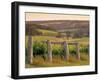 Vineyard, Margaret River, Western Australia, Australia-Doug Pearson-Framed Photographic Print