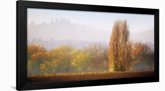 Vineyard Mist-Lance Kuehne-Framed Giclee Print