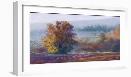 Vineyard Mist-Amanda Houston-Framed Giclee Print