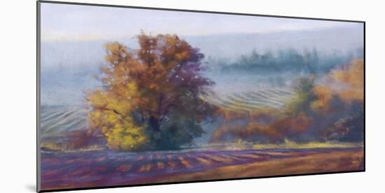 Vineyard Mist-Amanda Houston-Mounted Giclee Print