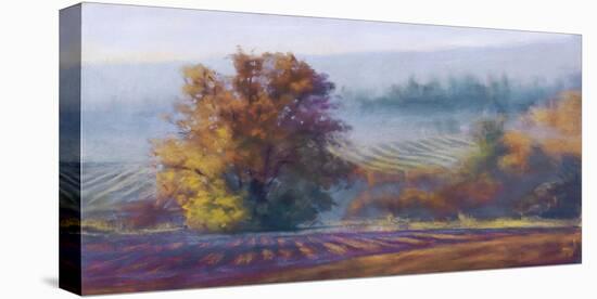 Vineyard Mist-Amanda Houston-Stretched Canvas