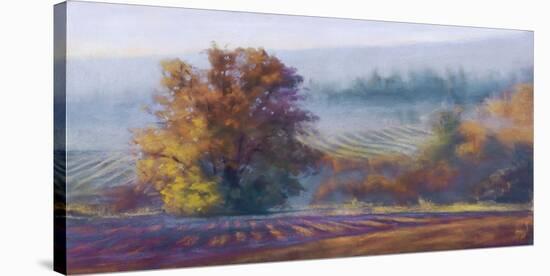 Vineyard Mist-Amanda Houston-Stretched Canvas