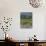 Vineyard, Montefalco, Italy-Rob Tilley-Mounted Photographic Print displayed on a wall
