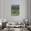 Vineyard, Montefalco, Italy-Rob Tilley-Photographic Print displayed on a wall