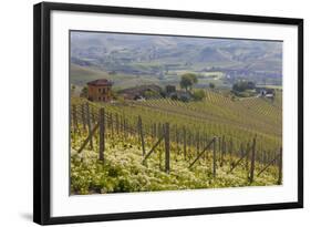 Vineyard Near Barolo, Piedmont, Italy-Peter Adams-Framed Photographic Print