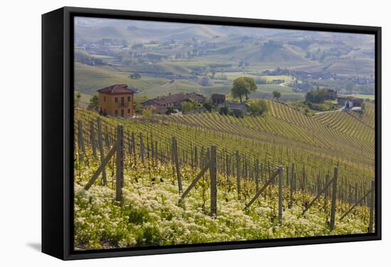 Vineyard Near Barolo, Piedmont, Italy-Peter Adams-Framed Stretched Canvas