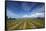 Vineyard Near Blenheim, Marlborough, South Island, New Zealand-David Wall-Framed Stretched Canvas