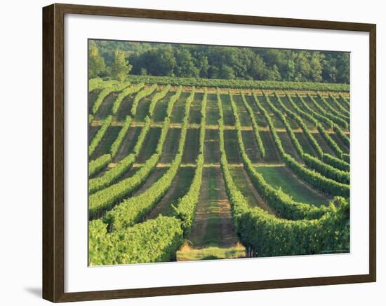 Vineyard Near Monbazillac, Dordogne, Aquitaine, France-Michael Busselle-Framed Photographic Print