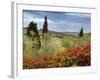 Vineyard Near Montalcino, Tuscany, Italy-Adam Jones-Framed Photographic Print