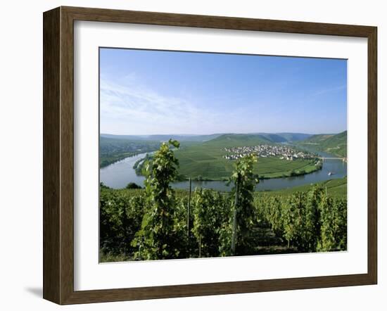 Vineyard Near Trittenheim, Mosel Valley, Rheinland-Pfalz (Rhineland-Palatinate), Germany-Hans Peter Merten-Framed Photographic Print