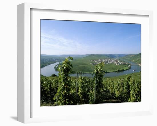 Vineyard Near Trittenheim, Mosel Valley, Rheinland-Pfalz (Rhineland-Palatinate), Germany-Hans Peter Merten-Framed Photographic Print