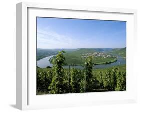 Vineyard Near Trittenheim, Mosel Valley, Rheinland-Pfalz (Rhineland-Palatinate), Germany-Hans Peter Merten-Framed Photographic Print