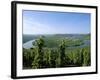 Vineyard Near Trittenheim, Mosel Valley, Rheinland-Pfalz (Rhineland-Palatinate), Germany-Hans Peter Merten-Framed Photographic Print