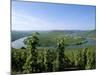 Vineyard Near Trittenheim, Mosel Valley, Rheinland-Pfalz (Rhineland-Palatinate), Germany-Hans Peter Merten-Mounted Photographic Print