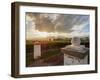 Vineyard of Bodega Viamonte, sunset, Lujan de Cuyo, Mendoza Province, Argentina, South America-Karol Kozlowski-Framed Photographic Print