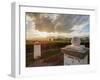 Vineyard of Bodega Viamonte, sunset, Lujan de Cuyo, Mendoza Province, Argentina, South America-Karol Kozlowski-Framed Photographic Print