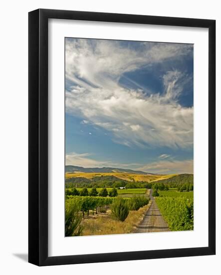 Vineyard of Walla Walla Vintners, Walla Walla, Washington, USA-Richard Duval-Framed Photographic Print