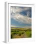 Vineyard of Walla Walla Vintners, Walla Walla, Washington, USA-Richard Duval-Framed Photographic Print