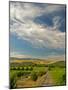 Vineyard of Walla Walla Vintners, Walla Walla, Washington, USA-Richard Duval-Mounted Photographic Print