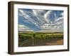 Vineyard of Walla Walla Vintners, Walla Walla, Washington, USA-Richard Duval-Framed Photographic Print