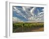 Vineyard of Walla Walla Vintners, Walla Walla, Washington, USA-Richard Duval-Framed Photographic Print