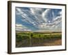 Vineyard of Walla Walla Vintners, Walla Walla, Washington, USA-Richard Duval-Framed Photographic Print