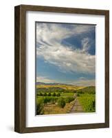 Vineyard of Walla Walla Vintners, Walla Walla, Washington, USA-Richard Duval-Framed Photographic Print