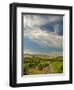 Vineyard of Walla Walla Vintners, Walla Walla, Washington, USA-Richard Duval-Framed Photographic Print