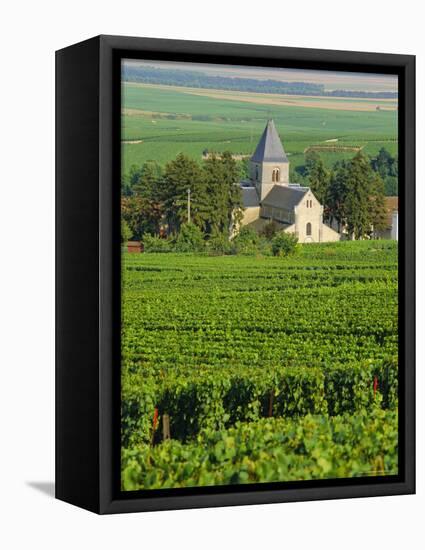 Vineyard, Oger, Champagne, France, Europe-John Miller-Framed Stretched Canvas