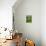 Vineyard, Oger, Champagne, France, Europe-John Miller-Stretched Canvas displayed on a wall