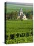 Vineyard, Oger, Champagne, France, Europe-John Miller-Stretched Canvas