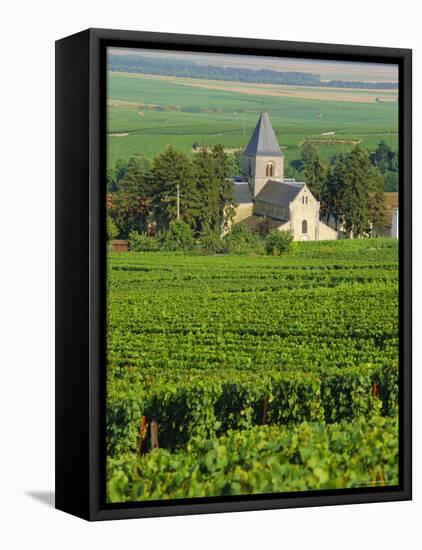 Vineyard, Oger, Champagne, France, Europe-John Miller-Framed Stretched Canvas