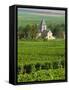 Vineyard, Oger, Champagne, France, Europe-John Miller-Framed Stretched Canvas